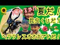 【昆虫くじ】【カブトムシ】【クワガタ】1等でるか!?夏だ！昆虫クジだ！ヘラクレスだ!!🌻