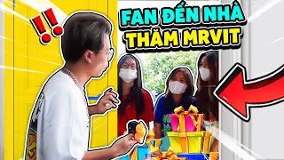 Một mình Mr Vịt đón 3 CON BÁO tới thăm nhà !!! MrVit Vlog #4