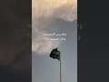 وطني الحبيب طلال مداح اليوم الوطني السعودي وطني الحبيب طلال مداح اليوم الوطني السعودي