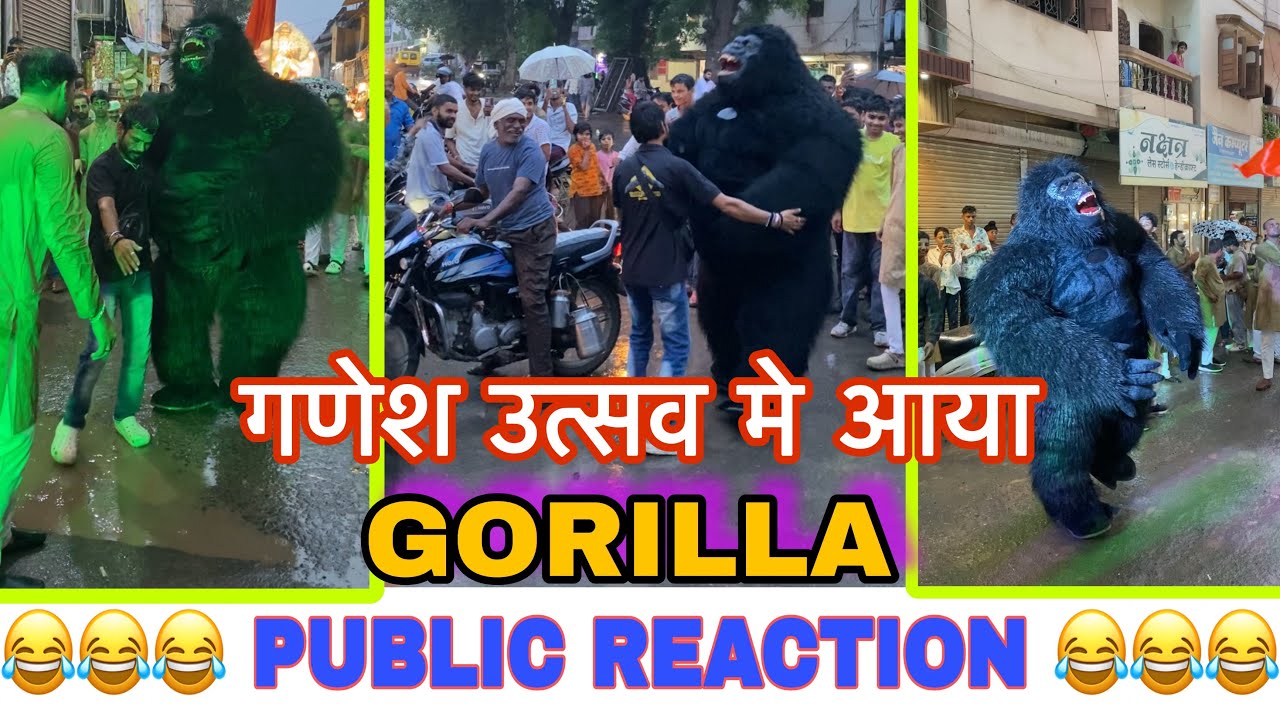 Gorilla Mascot PUBLIC REACTION 
