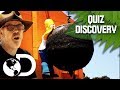 Quiz Discovery: Homero y la bola de demolición | Mythbusters: Los cazadores de mitos