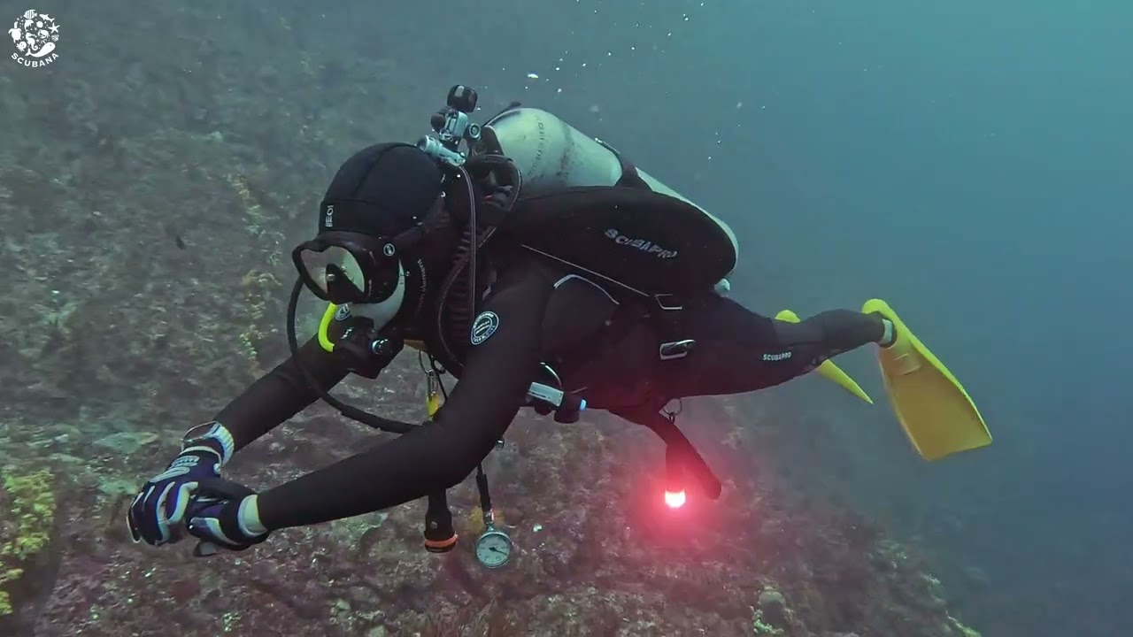 SAY's Diving in Jeju.