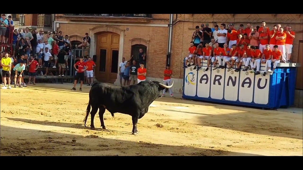 Festejos Populares Foios 2025.Toros cerriles Parralejo.Torrealta y Lagunajanda.19/07