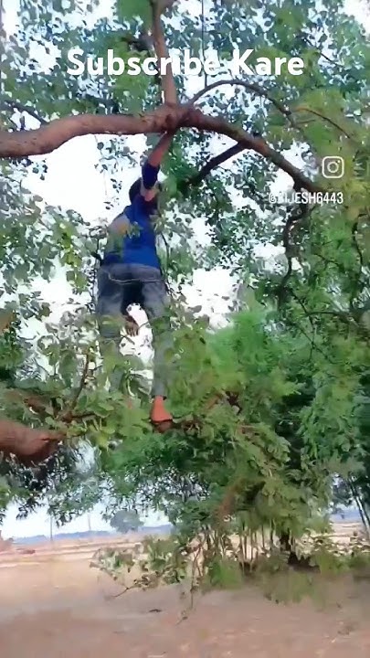 holi gachhi par kuhuku koyaliya