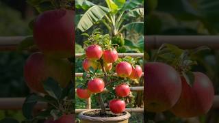 Secret Gardening Hack: Plant Inside an Apple! 🍎🌱 (Egg & Toothpaste Trick)#shortvideo