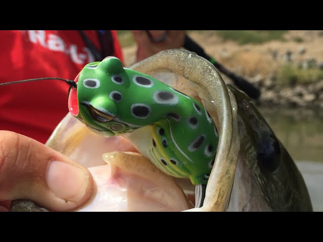 When's the best time to use a topwater frog? 