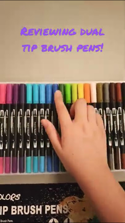 Reviewing Dual Tip Brush Pens!