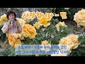 #사랑합니다#팀#오카리나 #김현주