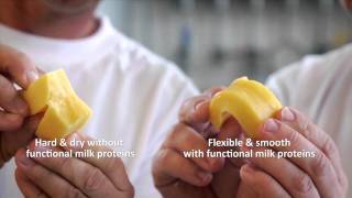 Arla Ingredients - Cheese