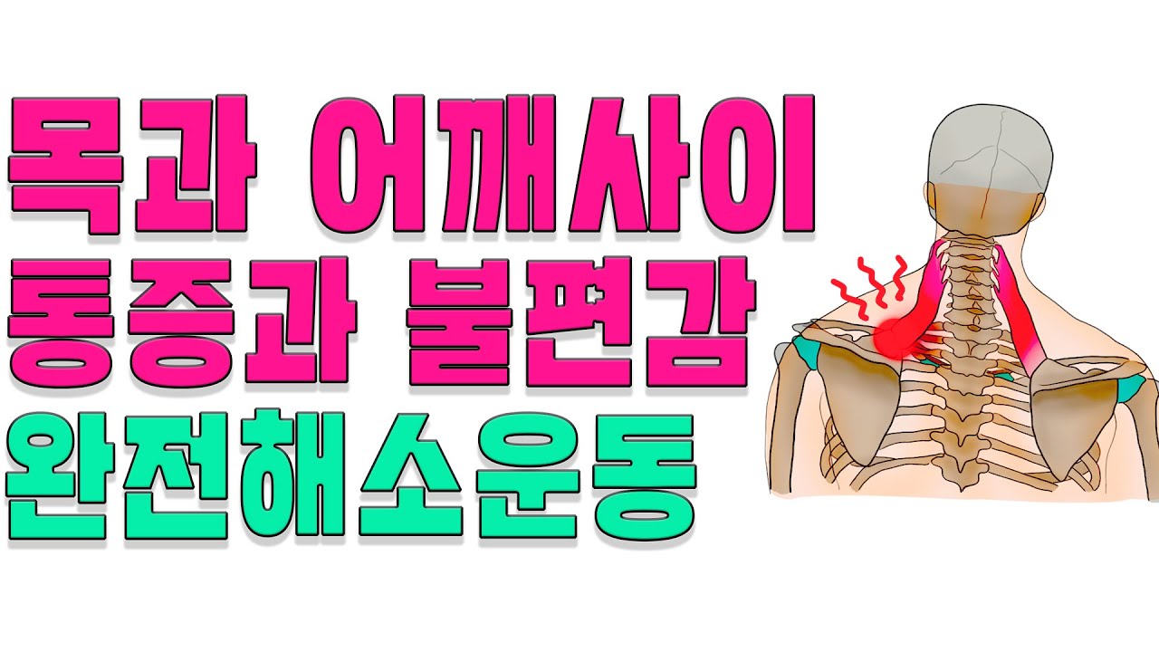 목과 어깨 사이 통증 스트레칭, 이완, 스포츠 체형교정운동 최적의 방법(feat 고개 5분전 견갑거근 운동)