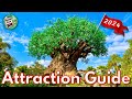 Disneys animal kingdom attraction guide  2024  all rides  shows  walt disney world