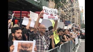 Protesters Demonstrate at NYC Pet Store Exposed for Abusing Animals