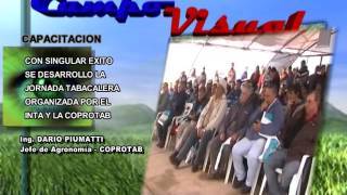 CAMPO VISUAL 29 06  2016 NVS