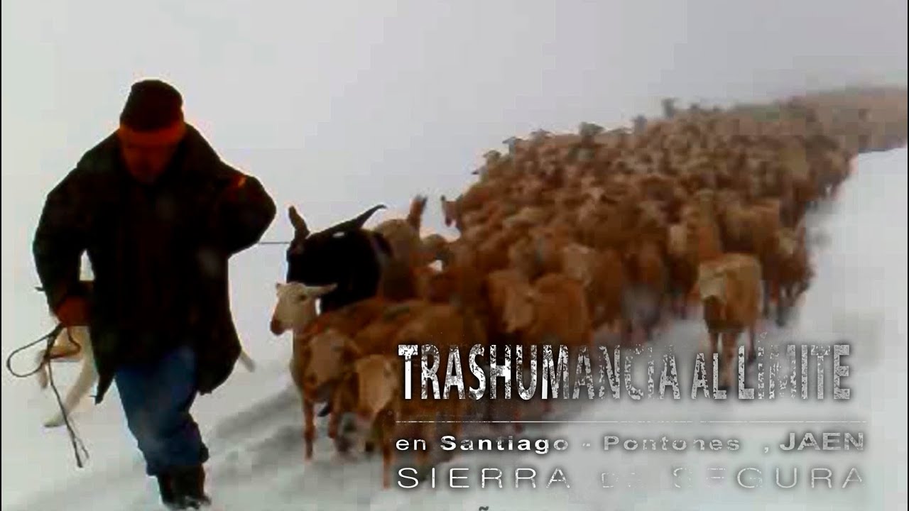 Trashumancia Extrema en Santiago Pontones