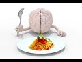 ¿Qué tiene que ver el cerebro con nuestra selección de alimentos?