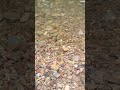 اسيف نتمزيرت