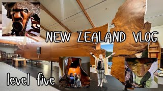 kauri trees &amp; kiwi birds! - New Zealand level 5 🪰