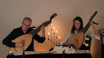 J.S. Bach  "Jesus bleibet meine Freude BWV 147"  www.luteduo.com