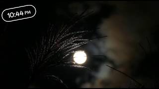 Ma tanu smjha va......# moon light #song #night what's app status screenshot 1