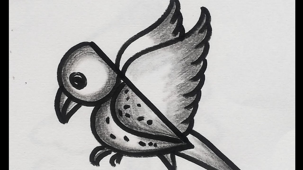 Parrot drawing easy with number 9//step by step parrot drawing easy.