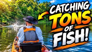 This SUPER EASY Method Catches a TON of Fish!