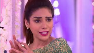Kundali Bhagya | Ep - 205 | Webisode 01 | Karan, Preeta, Rajveer | Zee TV