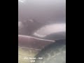 Jeep ZJ 5.2 frozen chop. eventually it frees itself