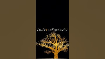 ءايات يتفكروا في أنفسهم سورة الروم الشيخ سعد الغامدي