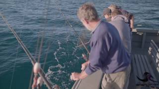 Southern Coast Charters Port Fairy Fishing Adventures