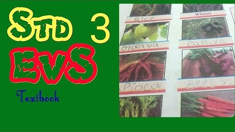 Std 3 EVS, victers channel class 3, victers channel std 3 today worksheet, std 3 evs unit 1 blooming