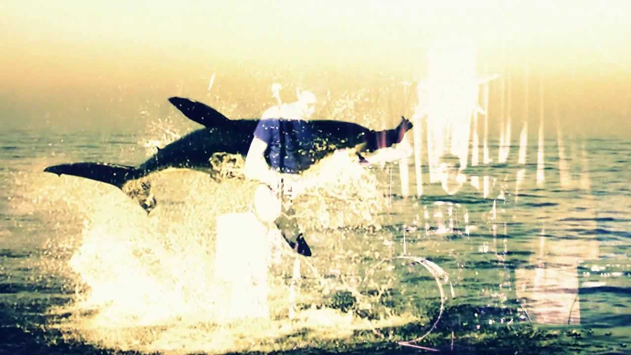 MAERO - Substate (Live)