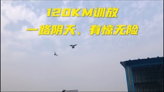 【小悠赛鸽】196期：120KM训放，一路阴天、有惊无险