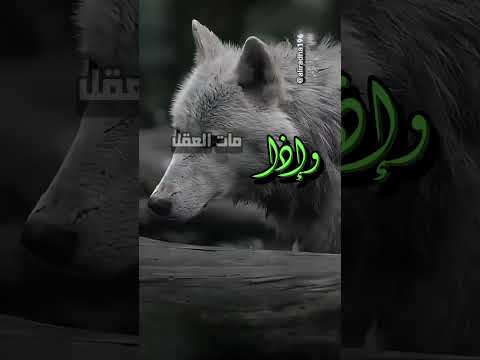 إذا مات القلب ذهبت الرحمة
