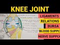 Knee Joint - 1 | Ligaments | Relations | Bursa | Blood and Nerve Supply