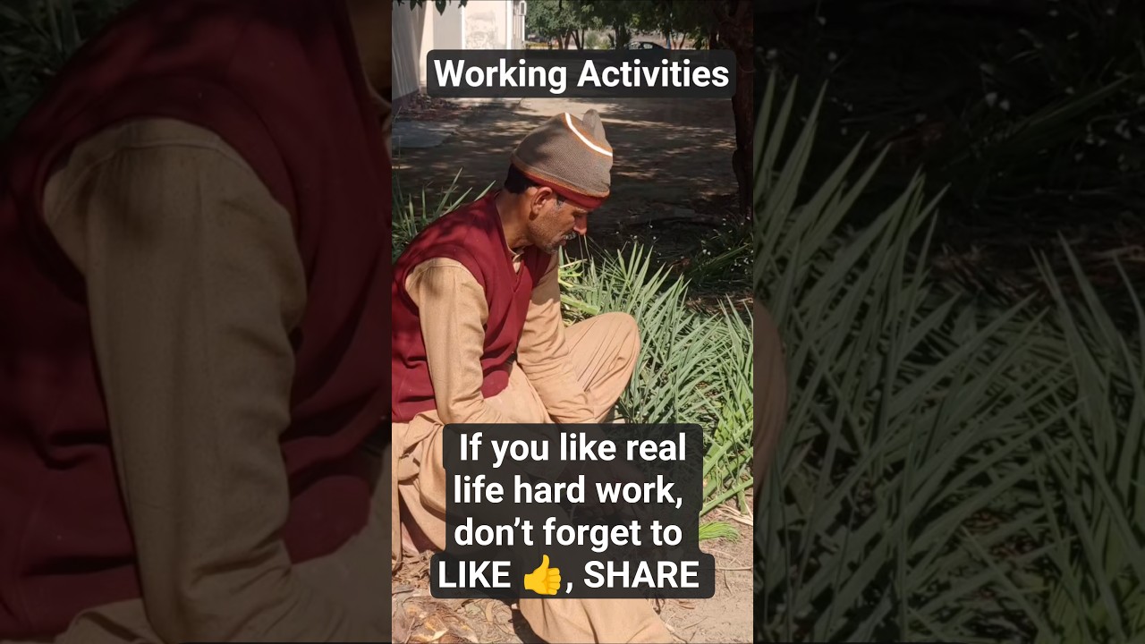 Hard Working Man | Real Life Gardening Work | Satisfying Village Farming
