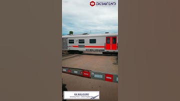 Palang Pintu Kereta Api JPL 169 Pasar Pagi Pemalang #shorts