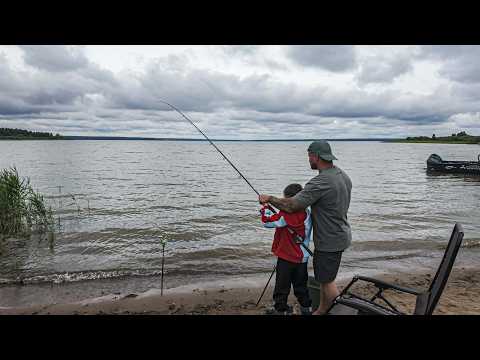 Amazing Fishing on the Yauza. Zander Burgers. Feeder Fishing with My Son. Part 2.