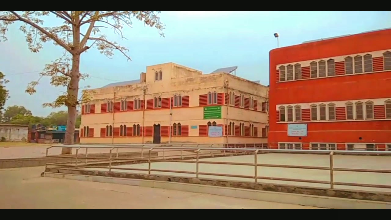 Jamia School campus during Lockdown in November YouTube