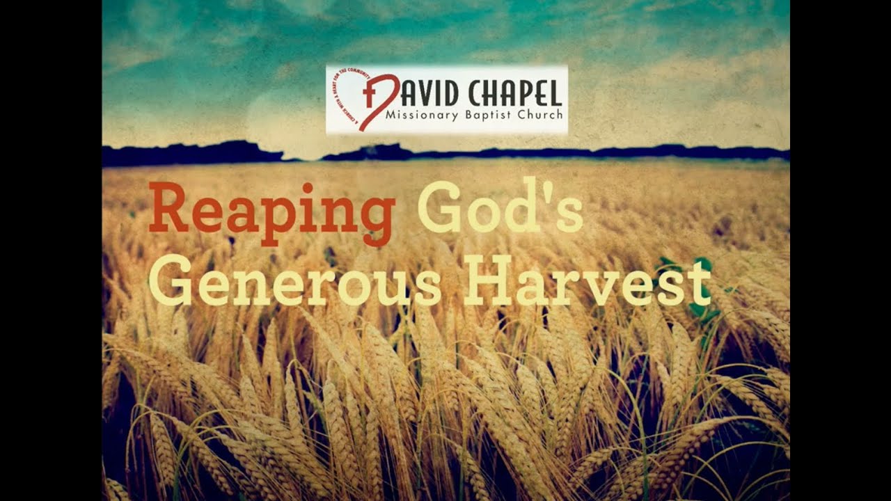 Проповедь в часовне Дэвида: «Наступил небесный урожай».