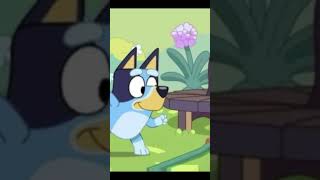 Edit bluey episode obstacle course season 3 episode 2#blueyseason3#edit