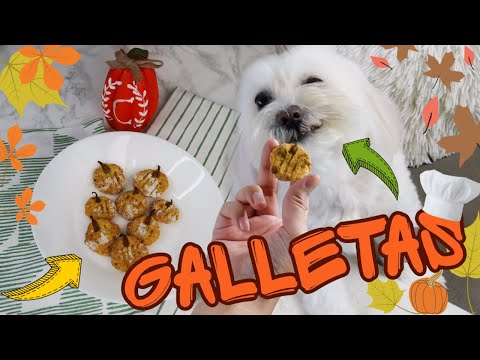 Video: Galletas De Pastel De Calabaza Para Perros