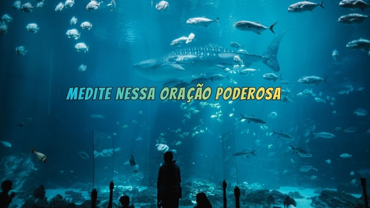 Refúgio em Tua Presença 🎵 Canção de Rendição ao Senhor