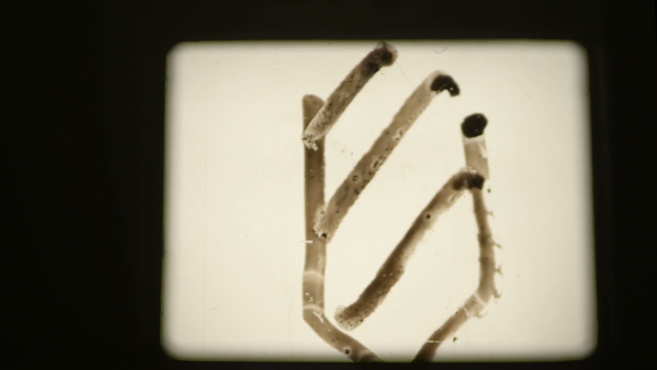 Drawing on Film YouTube