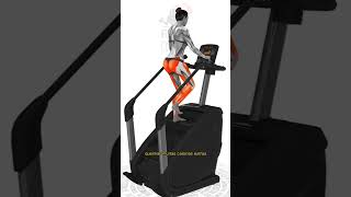 Simulador De Escadatreino Cardio Na Academia Fitness Melhor Exerccio Aerbico Secar Pochete Rpido
