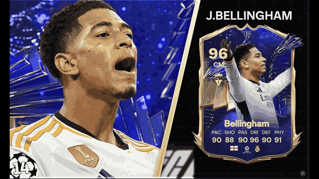 "INSANE 50 x 81+ SBC Player Picks | FC 24