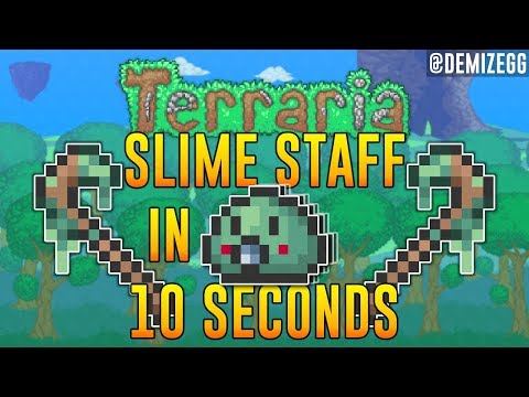 Terraria Slime Staff Speedrun WR and Terraria Memes??