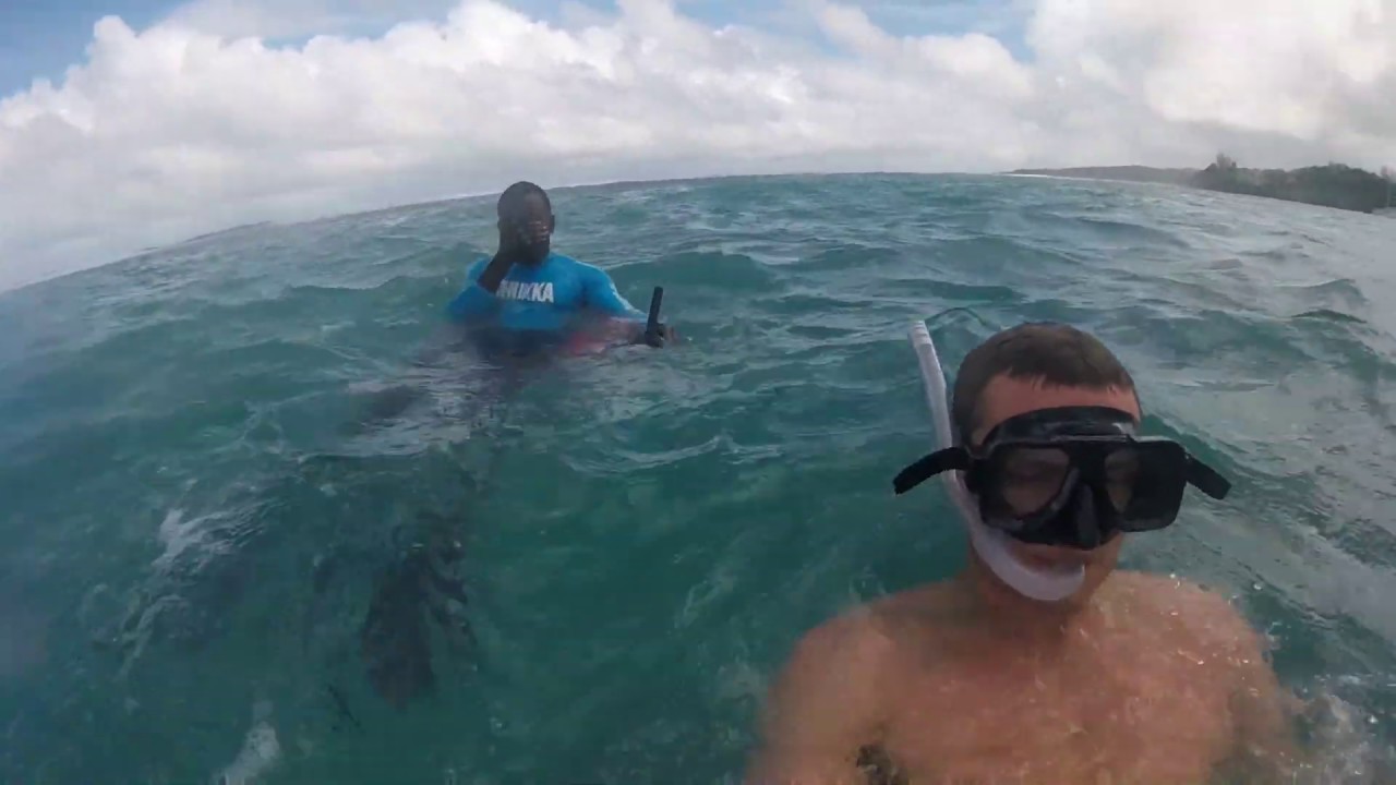 Scuba Diving In Ocho Rios, Jamaica YouTube