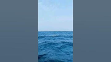 ٦ سبتمبر، ٢٠٢٤مقطع من سورة القيامة