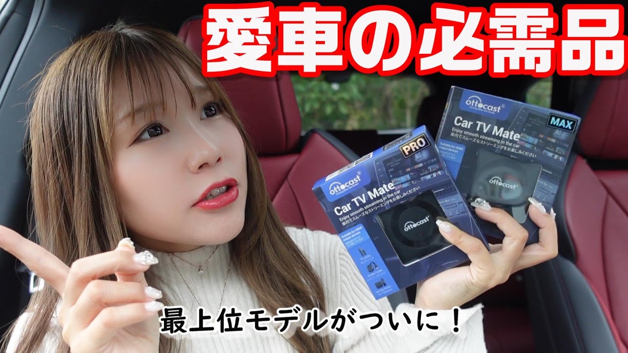 14P816 カーテレビメイト Car TV Mate Pro Max carp