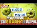 芭樂不甜都是選錯！掌握「月球表面凹凸」挑最甜芭樂【東森五省級】